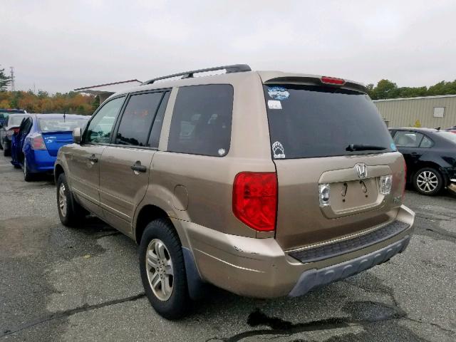 2HKYF18625H523403 - 2005 HONDA PILOT EXL GOLD photo 3