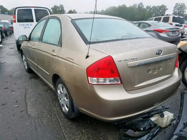 KNAFE121585535960 - 2008 KIA SPECTRA EX GOLD photo 3