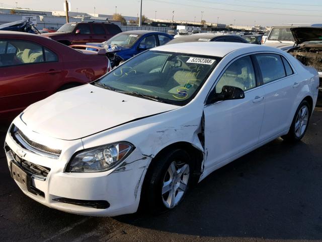 1G1ZA5EU5CF147941 - 2012 CHEVROLET MALIBU LS 白色 照片 2