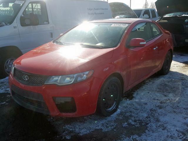 KNAFU6A24A5160224 - 2010 KIA FORTE EX RED photo 2