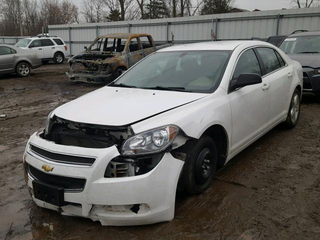 1G1ZB5E16BF381801 - 2011 CHEVROLET MALIBU LS 白色 照片 2