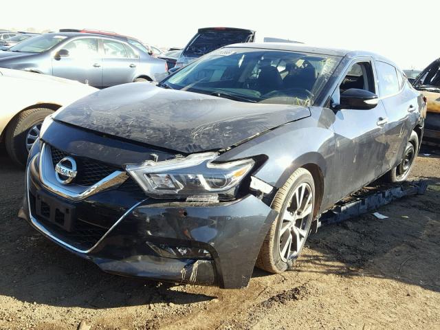 1N4AA6AP3HC411828 - 2017 NISSAN MAXIMA 3.5 BLUE photo 2