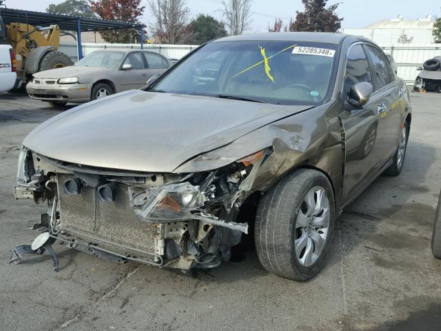 1HGCP36888A011150 - 2008 HONDA ACCORD EXL GOLD photo 2
