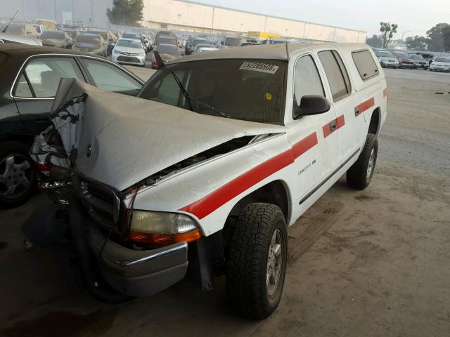 1B7HG2AX81S333770 - 2001 DODGE DAKOTA QUA WHITE photo 2