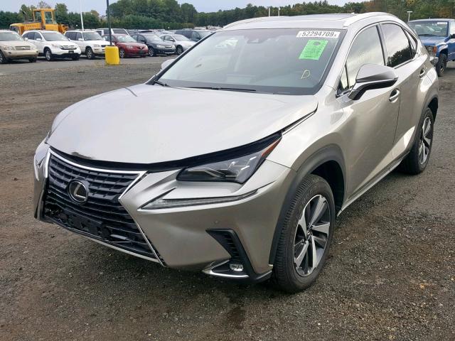 JTJBARBZ9K2202068 - 2019 LEXUS NX 300 BAS SILVER photo 2