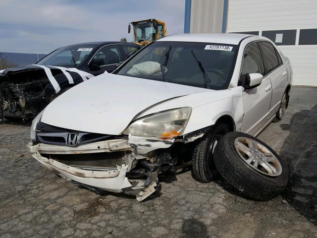 1HGCM56366A018345 - 2006 HONDA ACCORD SE WHITE photo 2