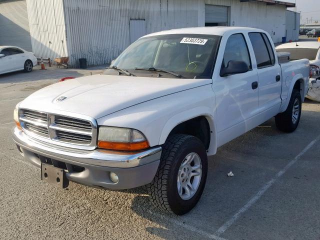 1D7HL48K84S690975 - 2004 DODGE DAKOTA QUA WHITE photo 2