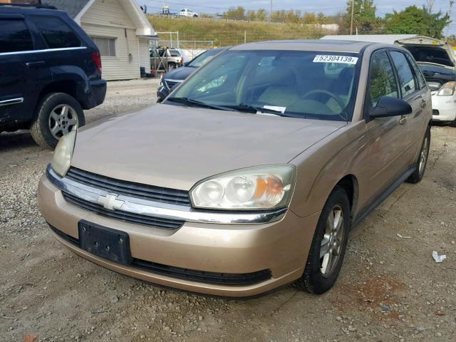1G1ZT64854F183621 - 2004 CHEVROLET MALIBU MAX 金色 照片 2