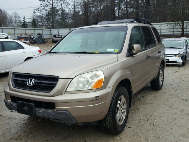 2HKYF18733H590825 - 2003 HONDA PILOT EXL TAN photo 2