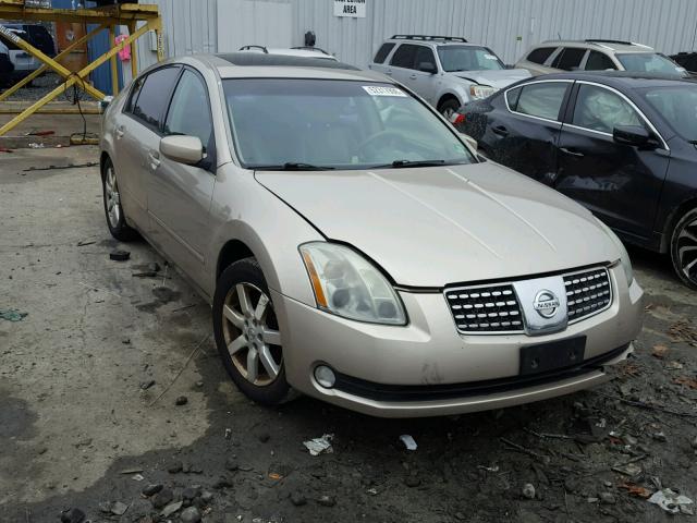 1N4BA41E96C807847 - 2006 NISSAN MAXIMA SE GOLD photo 1