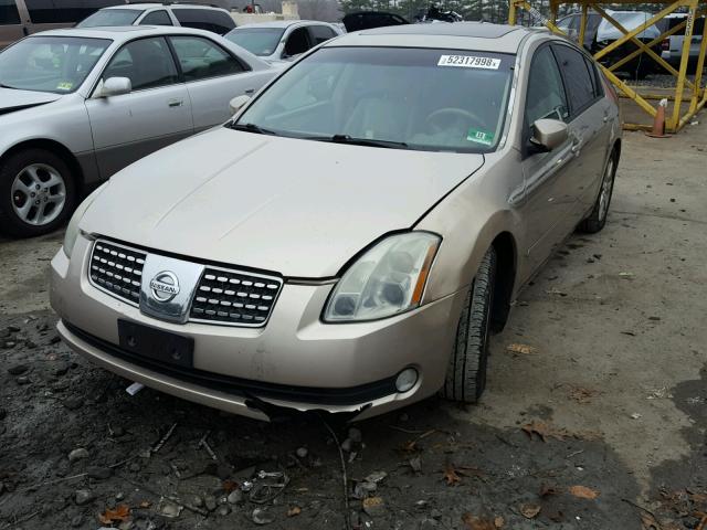 1N4BA41E96C807847 - 2006 NISSAN MAXIMA SE GOLD photo 2