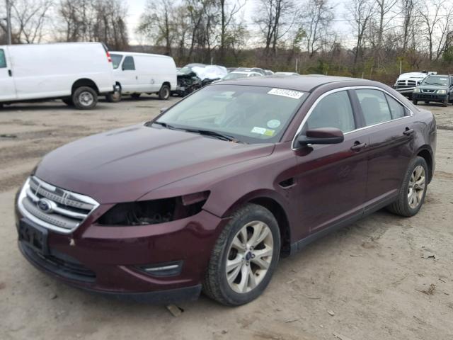 1FAHP2EW3BG138557 - 2011 FORD TAURUS SEL BURGUNDY photo 2