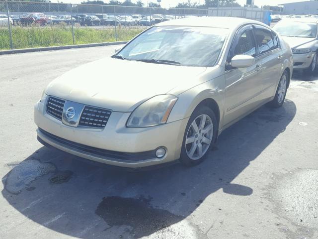 1N4BA41E44C829767 - 2004 NISSAN MAXIMA SE GOLD photo 2