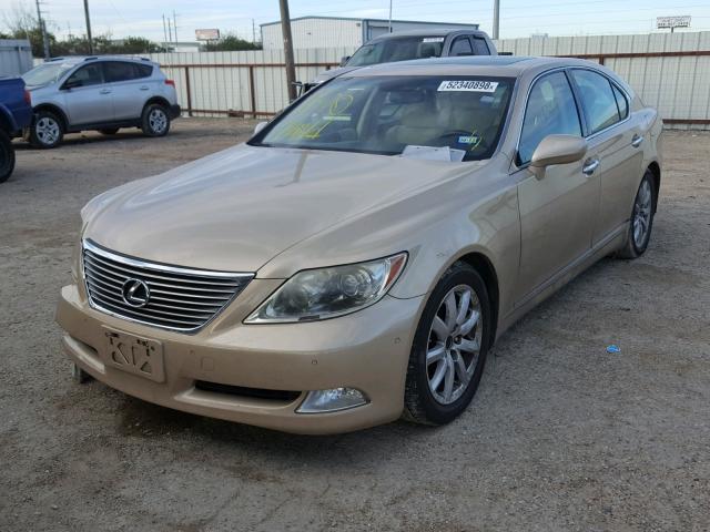 JTHBL46F675013771 - 2007 LEXUS LS 460 GOLD photo 2