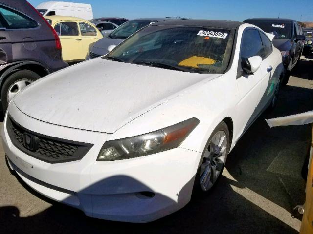 1HGCS22818A001218 - 2008 HONDA ACCORD EXL WHITE photo 2