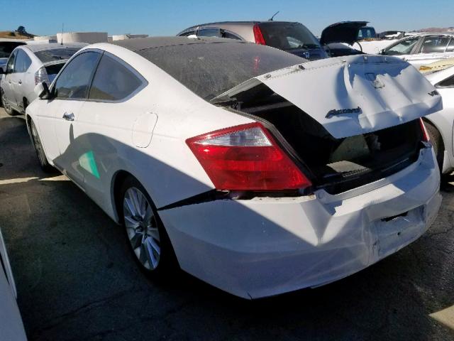 1HGCS22818A001218 - 2008 HONDA ACCORD EXL WHITE photo 3