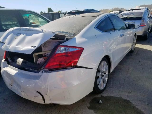 1HGCS22818A001218 - 2008 HONDA ACCORD EXL WHITE photo 4