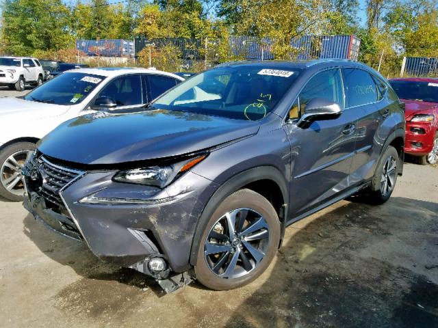 JTJBARBZ6J2156939 - 2018 LEXUS NX 300 BAS GRAY photo 2