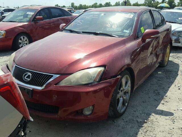 JTHBK262195100470 - 2009 LEXUS IS 250 RED photo 2