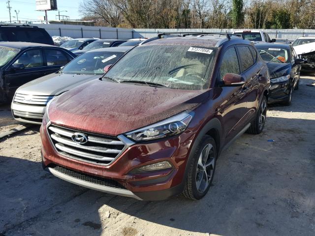 KM8J33A21HU273722 - 2017 HYUNDAI TUCSON LIM RED photo 2