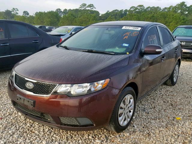 KNAFU4A29A5850149 - 2010 KIA FORTE EX MAROON photo 2