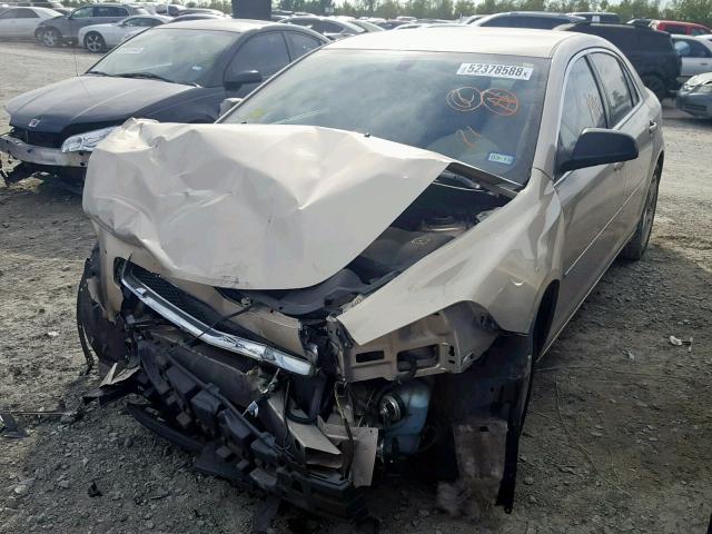 1G1ZB5EB1AF162025 - 2010 CHEVROLET MALIBU LS 棕色 照片 2