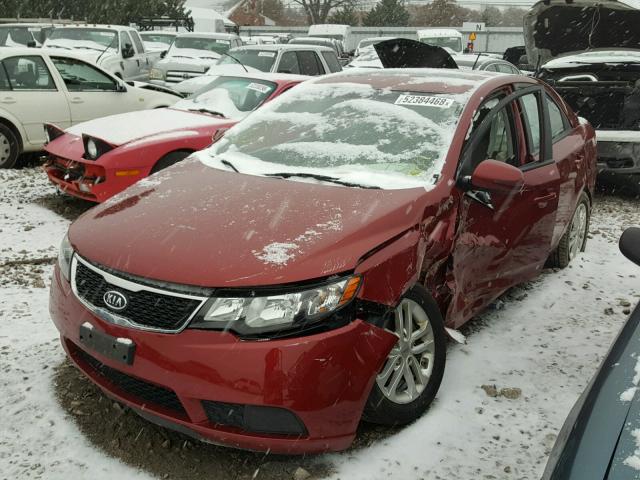 KNAFU4A20C5569814 - 2012 KIA FORTE EX RED photo 2