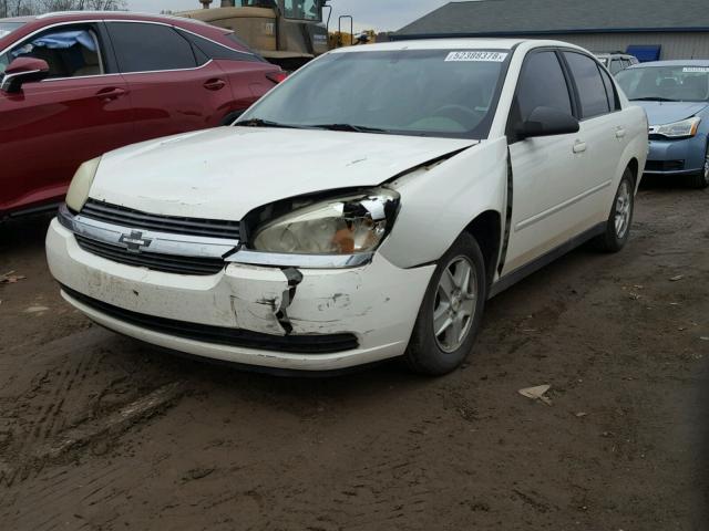 1G1ZT54825F217350 - 2005 CHEVROLET MALIBU LS Ağ foto 2