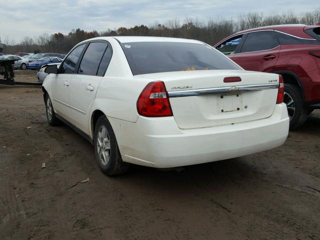 1G1ZT54825F217350 - 2005 CHEVROLET MALIBU LS Ağ foto 3