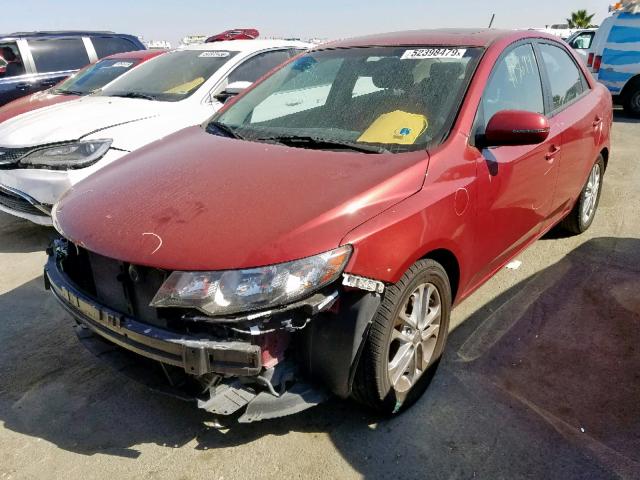 KNAFU4A25B5405862 - 2011 KIA FORTE EX RED photo 2