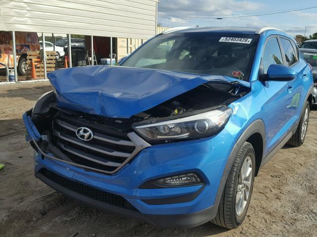 KM8J33A40GU187110 - 2016 HYUNDAI TUCSON LIM BLUE photo 2