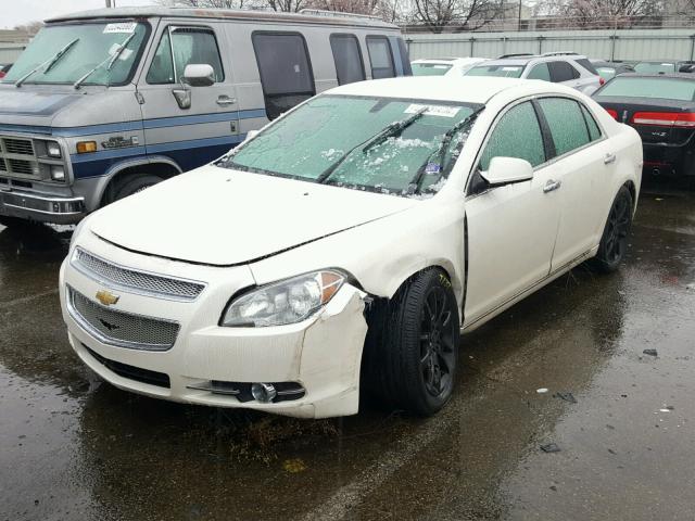 1G1ZE5EU4BF355537 - 2011 CHEVROLET MALIBU LTZ 白色 照片 2