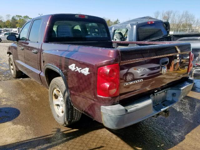 1D7HW28N65S271644 - 2005 DODGE DAKOTA QUA PURPLE photo 3