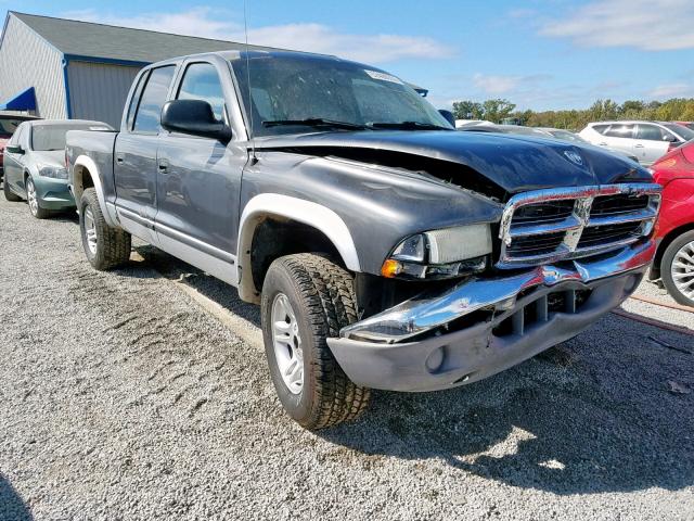 1D7HG48N04S525064 - 2004 DODGE DAKOTA QUA GRAY photo 1