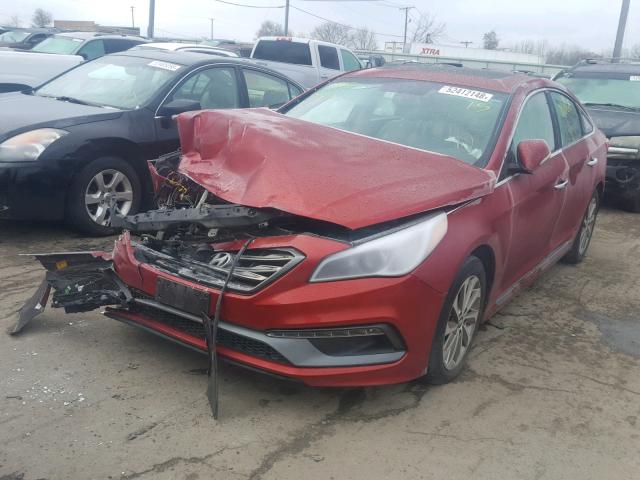 5NPE34AF8GH394643 - 2016 HYUNDAI SONATA SPO RED photo 2