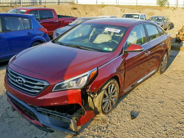 5NPE34AF6GH382698 - 2016 HYUNDAI SONATA SPO RED photo 2