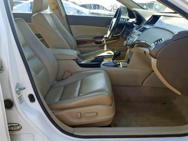 1HGCP36829A042511 - 2009 HONDA ACCORD EXL WHITE photo 5