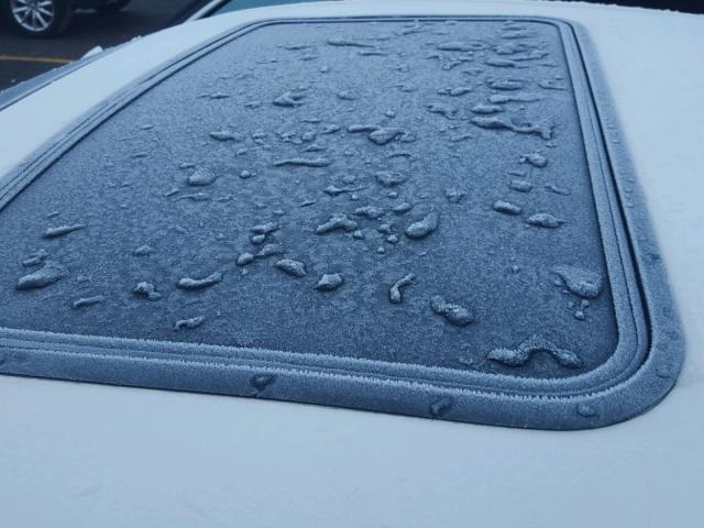 2G2WC55C361177578 - 2006 PONTIAC GRAND PRIX თეთრი ფოტო 10