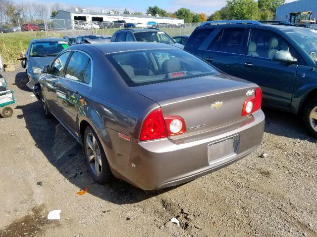 1G1ZC5E15BF195602 - 2011 CHEVROLET MALIBU 1LT 棕色 照片 3