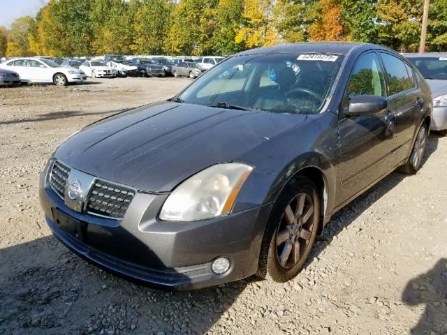 1N4BA41E64C899075 - 2004 NISSAN MAXIMA SE GRAY photo 2