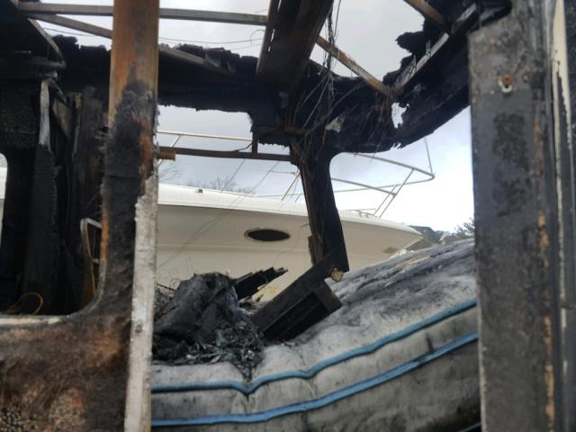 1RF12051421014697 - 2002 ROADMASTER RAIL MONOCOQUE Білий фото 5