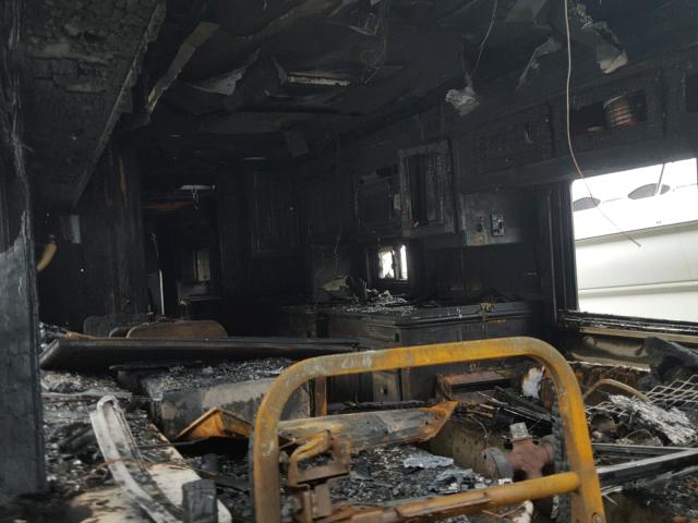 1RF12051421014697 - 2002 ROADMASTER RAIL MONOCOQUE Білий фото 6