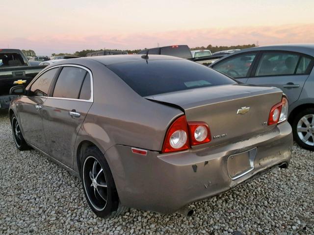 1G1ZK57B18F286593 - 2008 CHEVROLET MALIBU LTZ თაფლისფერი ფოტო 3