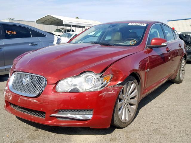 SAJWA06B79HR02516 - 2009 JAGUAR XF PREMIUM RED photo 2