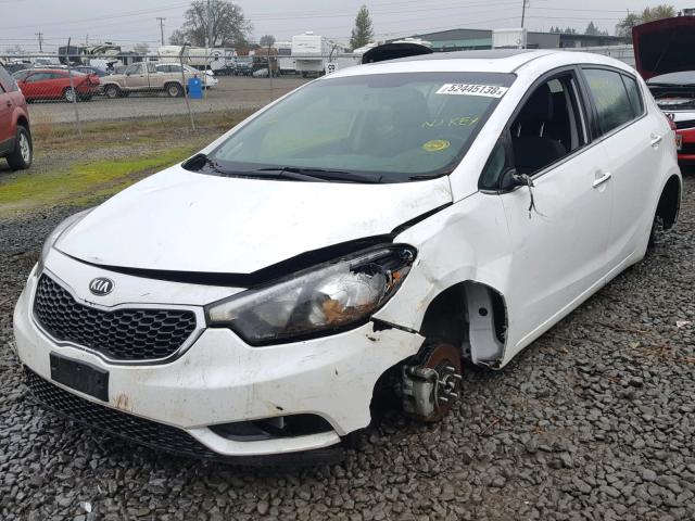 KNAFX5A80G5628819 - 2016 KIA FORTE EX WHITE photo 2