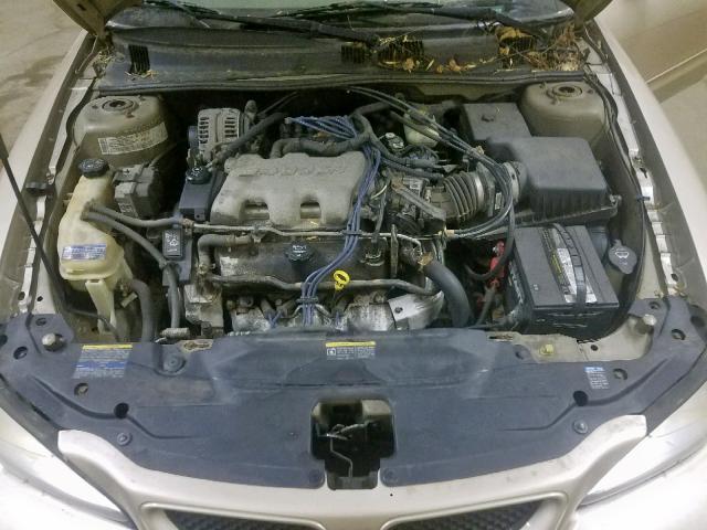 1G2NE52E65M156755 - 2005 PONTIAC GRAND AM S TAN photo 7