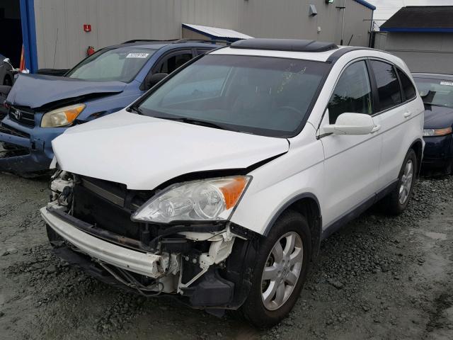 5J6RE38729L015763 - 2009 HONDA CR-V EXL WHITE photo 2