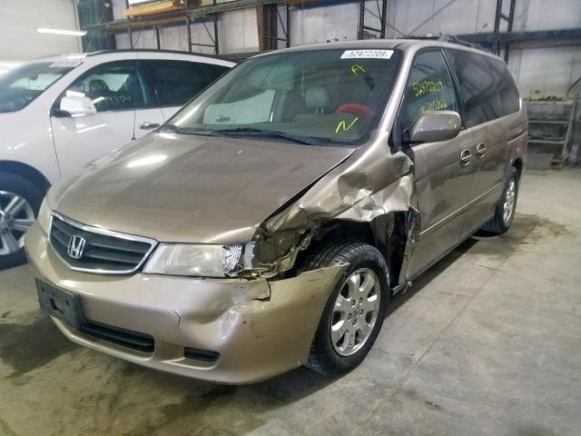 5FNRL18094B036804 - 2004 HONDA ODYSSEY EX TAN photo 2