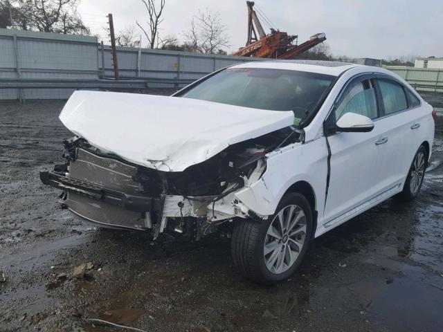 5NPE34AF3HH496529 - 2017 HYUNDAI SONATA SPO WHITE photo 2