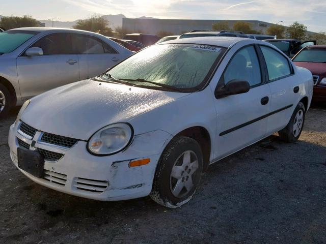 1B3ES26C34D583502 - 2004 DODGE NEON BASE WHITE photo 2